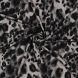 Punta di Roma (Ponte) -Leopard