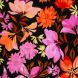 Viscose Challis Fabric - Large Scale Flowers in Orange and Pink on Black "Julia" collection