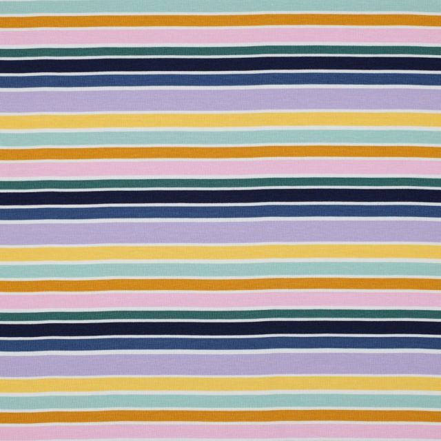 Jersey Knit - Happy Stripes 