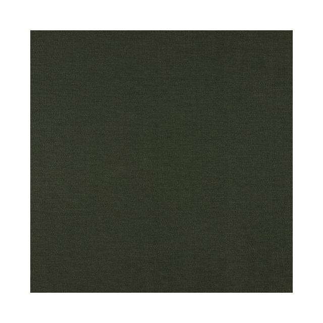 Poppy Collection - Tencel Modal Jersey Solid - Pine Green Green (18)