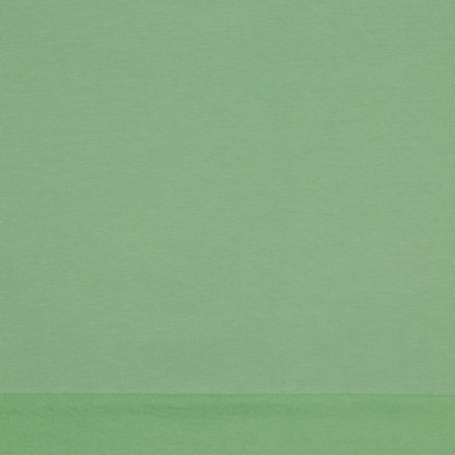 *DISCOLORATION ON CENTERFOLD* Organic Poppy Soft Sweat - Solid - Seafoam Green (col. S63)