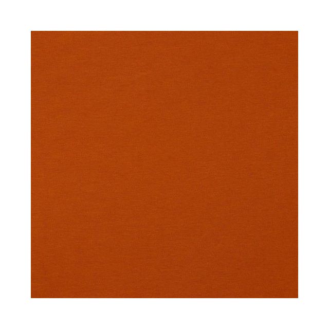 Organic Jersey Amber
