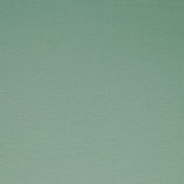 Organic Poppy Ribbing - Solid - Dark Mint(69)