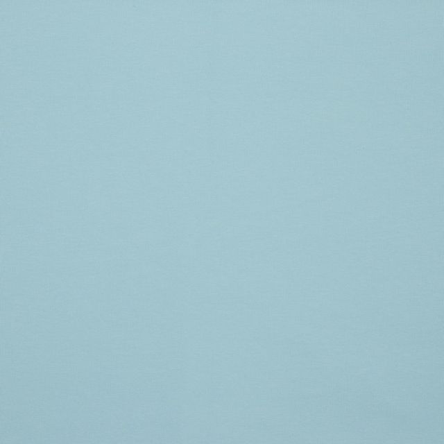 *DISCOLORATION ON CENTERFOLD* Organic French Terry - Sky Blue (17)
