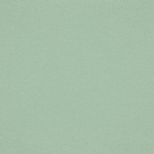 Organic Poppy Soft Sweat - Solid - Light Jade (col. S15)