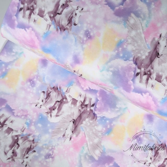 Cotton Jersey - Unicorn and Pegasus in the Sky