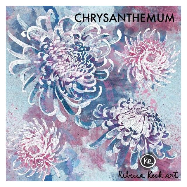 Jersey Knit Fabric - Chrysantemum flowers - Rebecca Reck