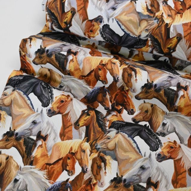 Canvas - Golden Brown Horses on Off White