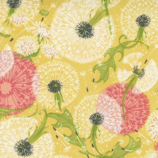 100% Cotton - Dandi Duo by Robin Pickens  - Maize per 1/2m