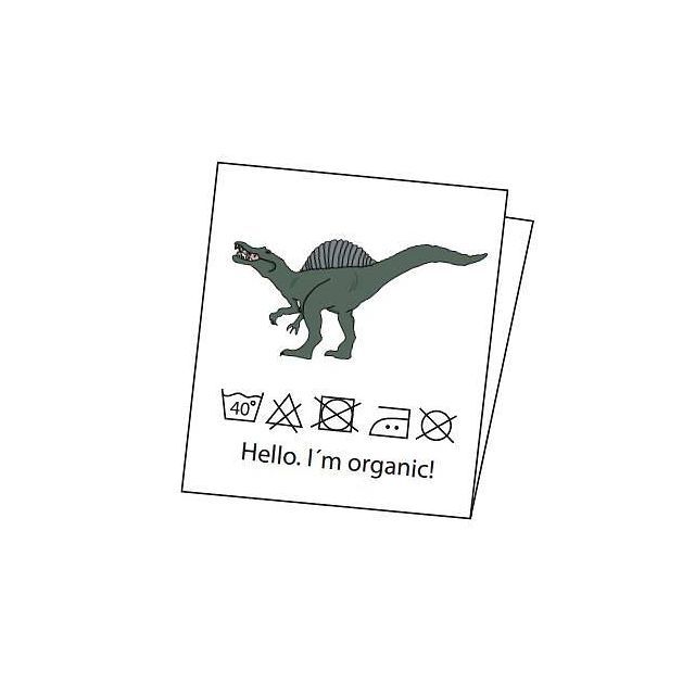 Label - Dino - 5pcs