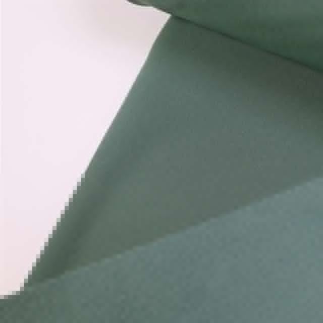 Soft Shell - Sage Green with Green Fleece Back