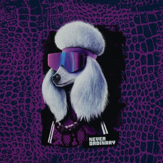 "Pawerful" by Thorsten Berger - French Terry Panel Exlipse Purple with Poodle with Sunglasses Approx 80cm x 155cm