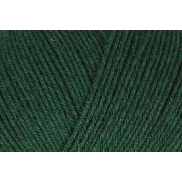 REGIA 4-Ply PREMIUM Merino Yak 100g - Pine Green Melange