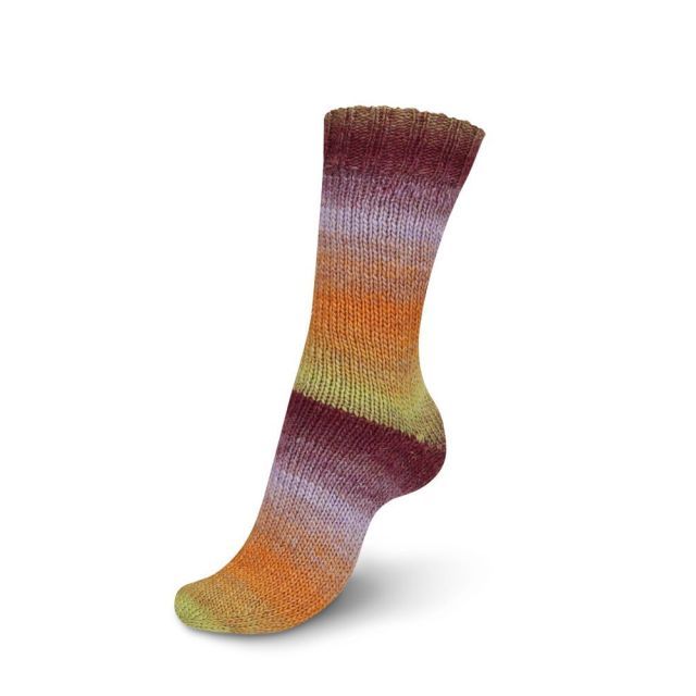 Regia Virtuoso Color Sock Yarn - Chianti Tasting Col. 3074 - 150g Skein