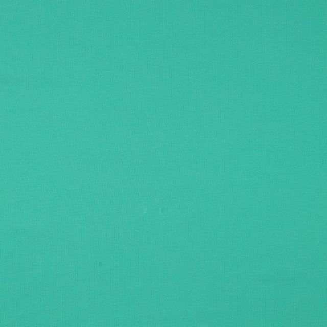 Organic French Terry - Spearmint Green (f76)