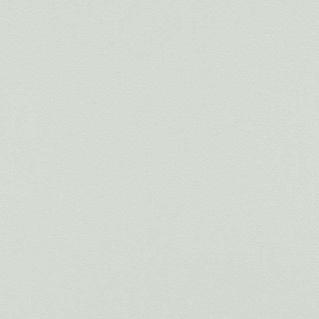 Solid Cotton Twill Canvas "Theo" - Light Grey