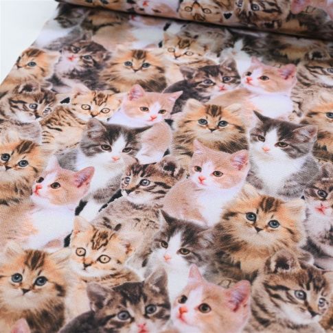 BOLT END - 120 CM - Canvas - Purrfect Kittens