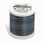 Madeira - 98451607 - Embroidery Thread - POLYNEON NO. 40 LAUGNE 220YD/200M  VARIEGATED - Mimifabrics Canada