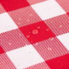 Water Repellent Canvas - Red and White Checks 