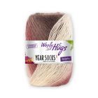 Woolly Hugs "Year Socks" Yarn 100g with soft gradient effect - February