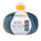REGIA 4-Ply PREMIUM Merino Yak Color Gradients 100g - Meadow